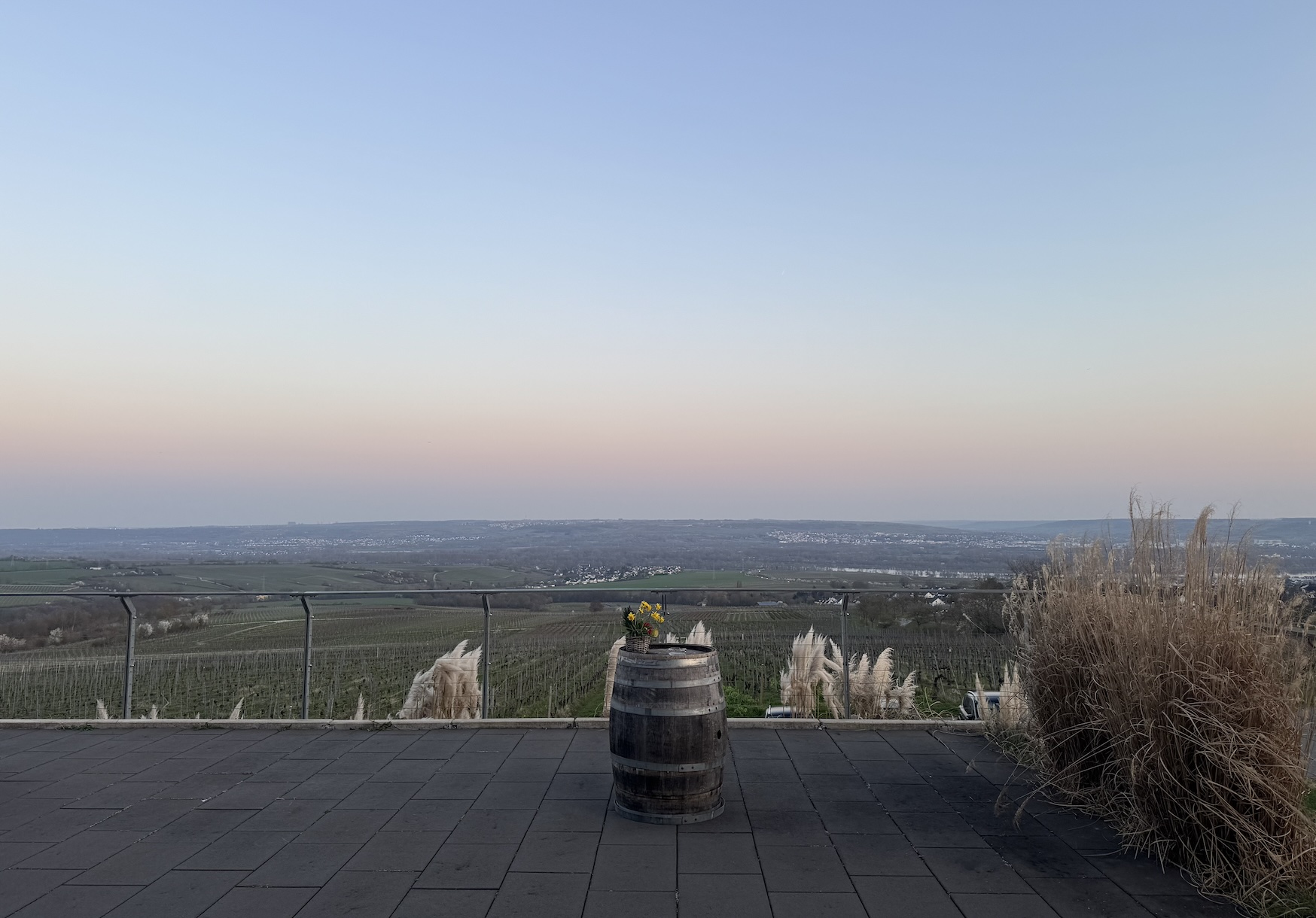 Blick vom Weingut Kessler über die Weinberge des Rheingaus
